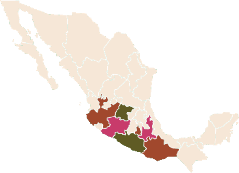 Map of Mexico with artisan regions